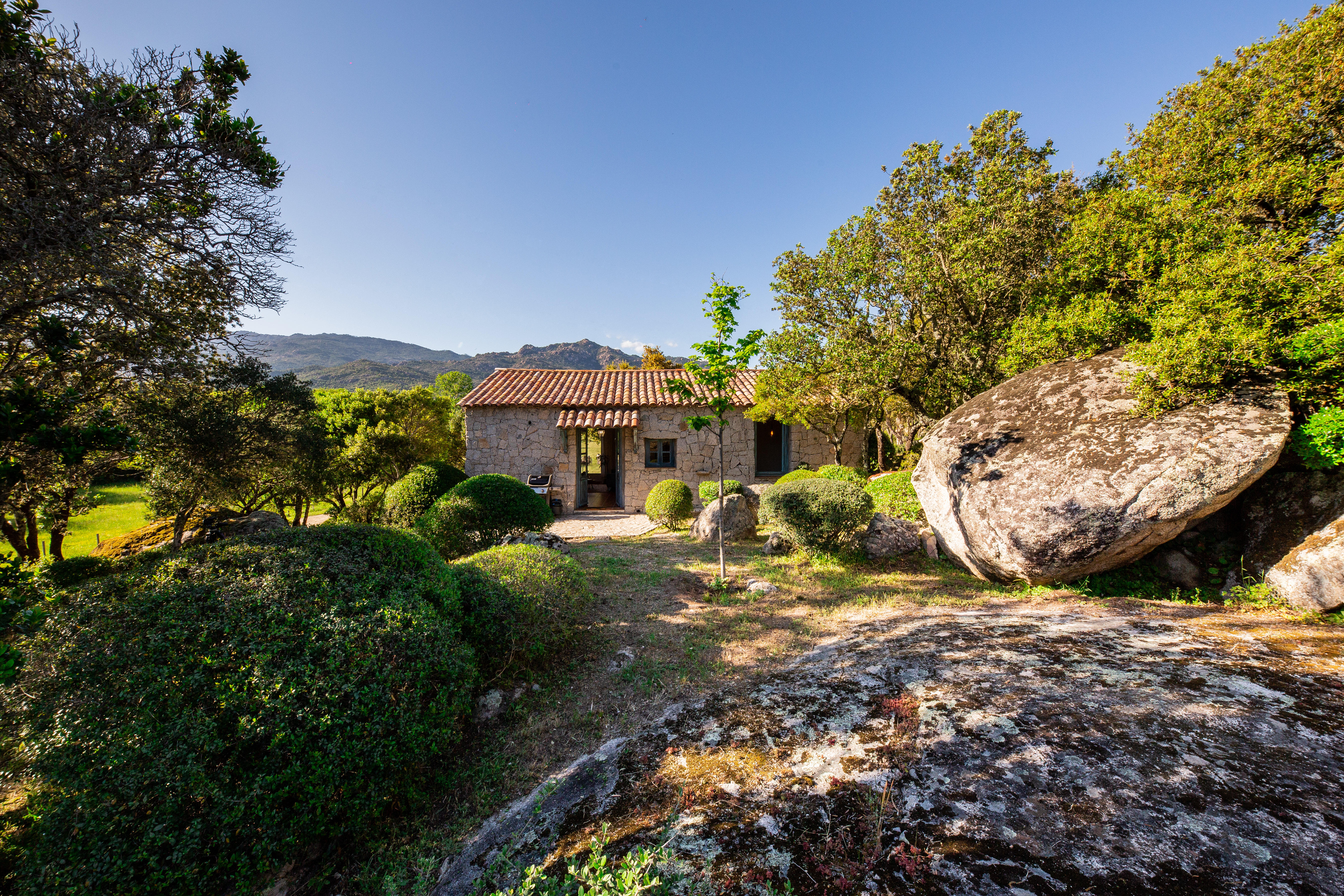 Domaine Pardini